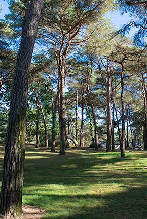 Campeggio Domaine de la Pinède Bretagne