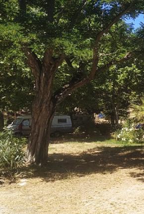 Campeggio Les Ousinières Le Pradet Var Méditerranée