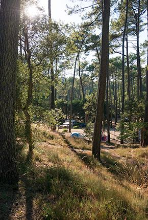 Campeggio l'Etang Blanc Seignosse Landes