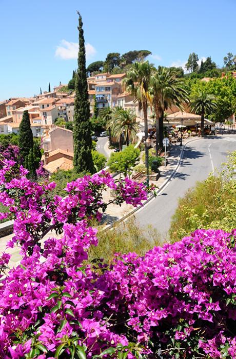 Campeggio Parc de Bormes Bormes-les-Mimosas Var