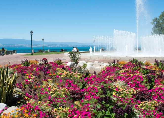 Campeggio La Dranse Thonon-les-Bains Lago di Ginevra