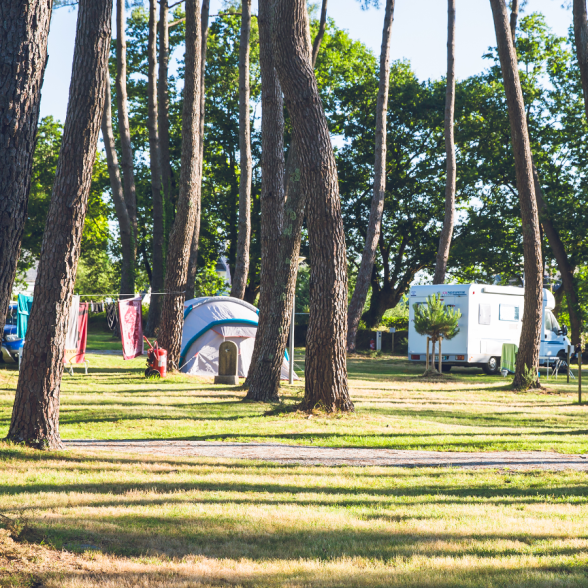 area camper sotto gli alberi
