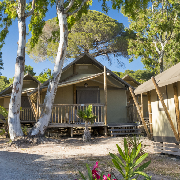 GIUNGLA DEL LODGE
