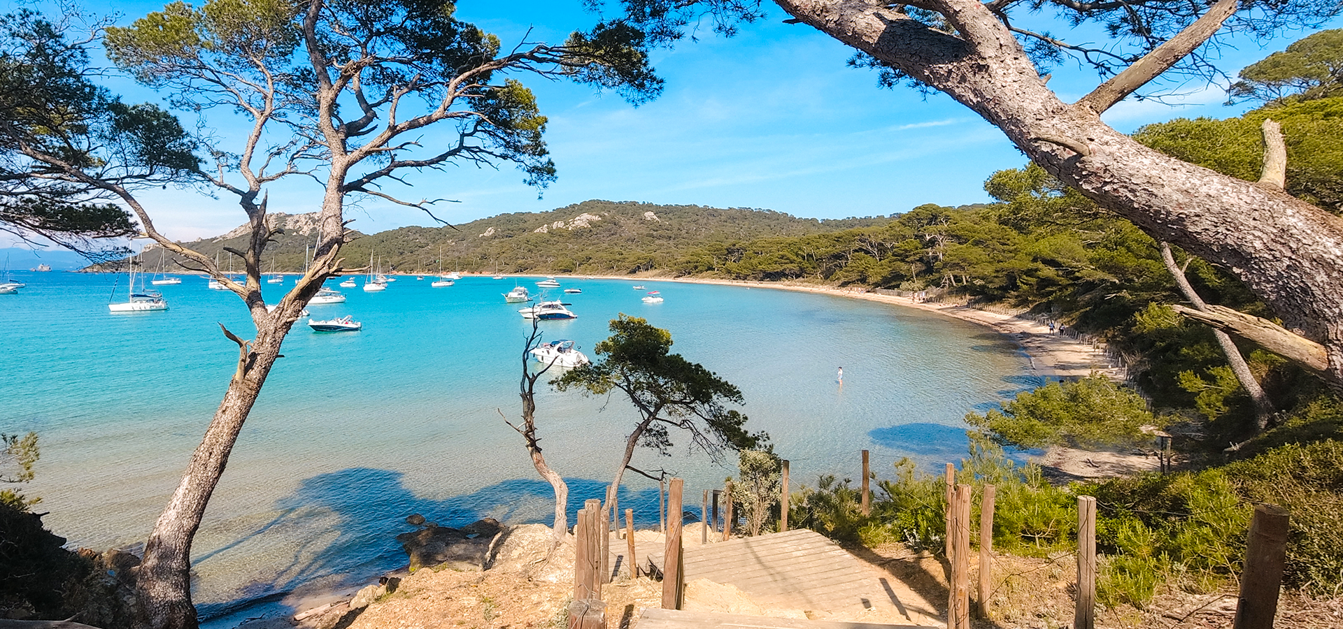 Crique île de Porquerolles a Hyères nel dipartimento del Var