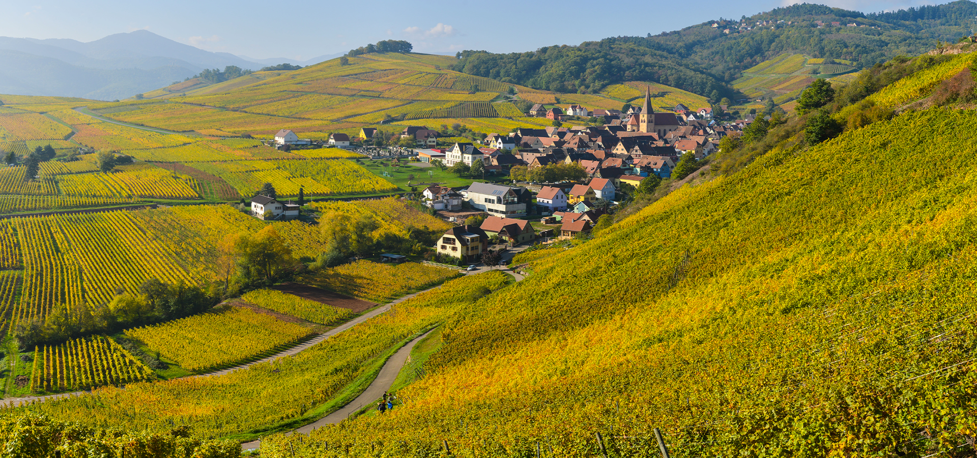 L'ALSAZIA E LA STRADA DEL VINO