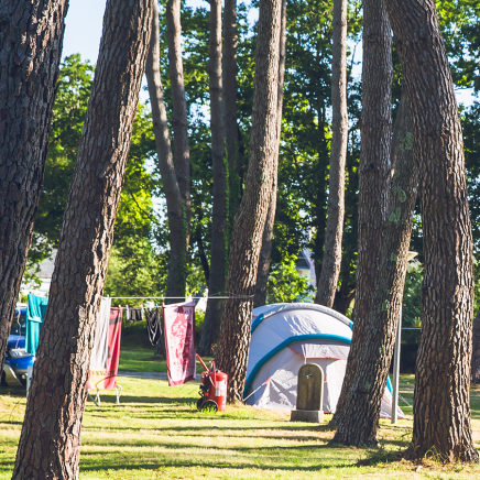 Tenda sotto i pini