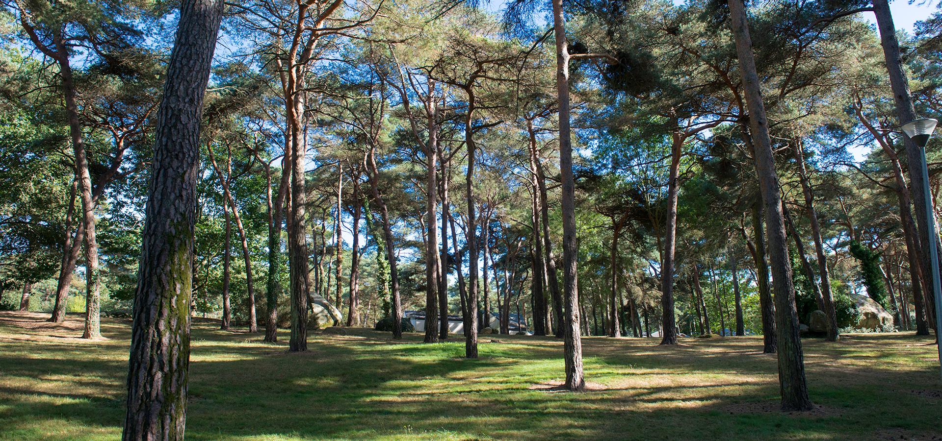 Campeggio Domaine de la Pinède Bretagne