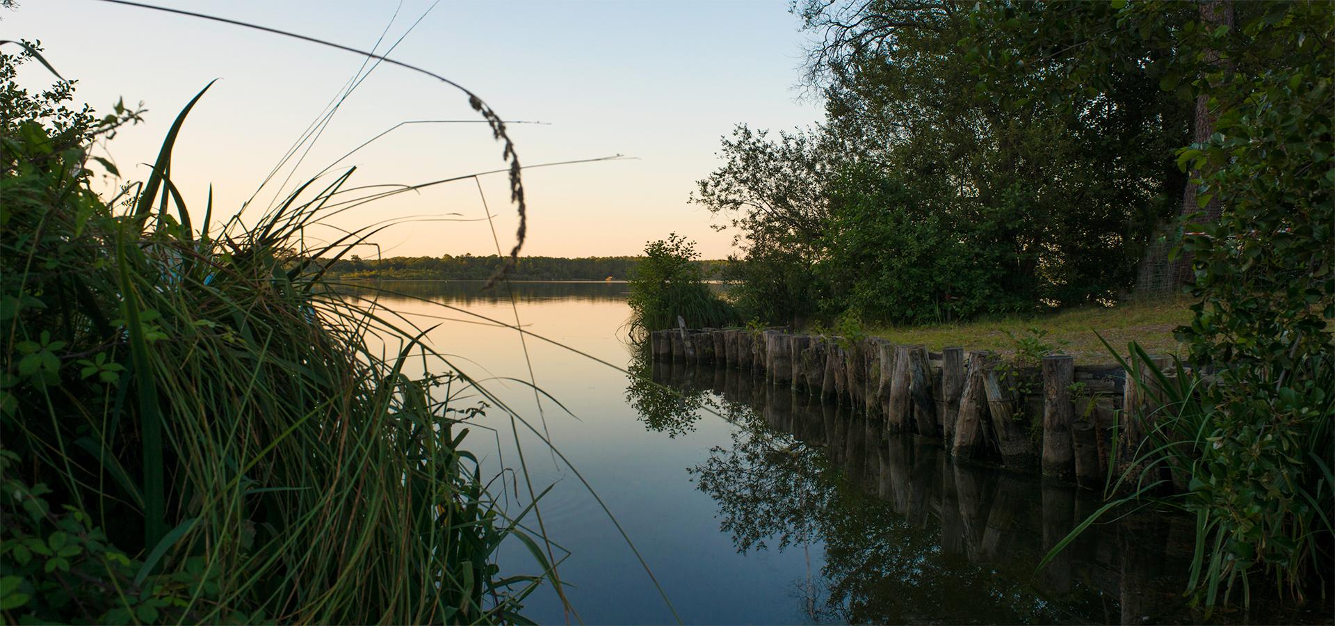 Campeggio l'Etang Blanc Seignosse Landes