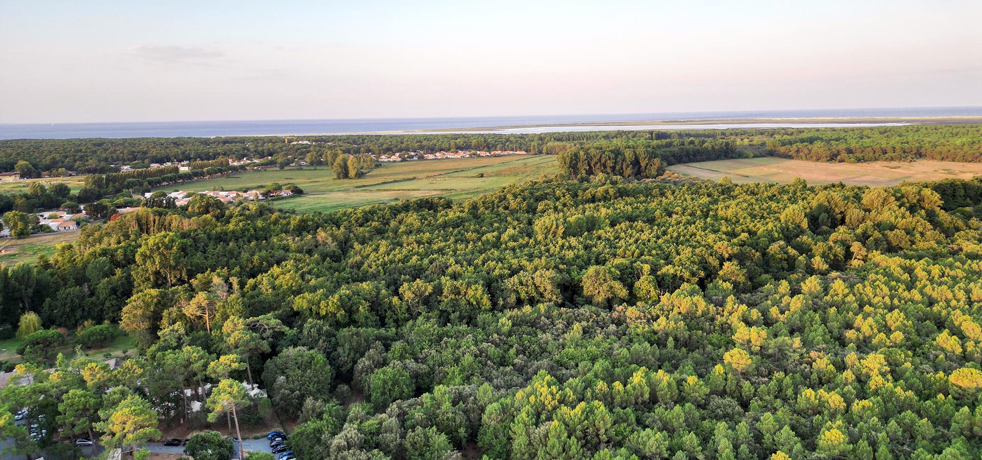 Campeggio Domaine de Montcalm Les Mathes La Palmyre Charente-Maritime