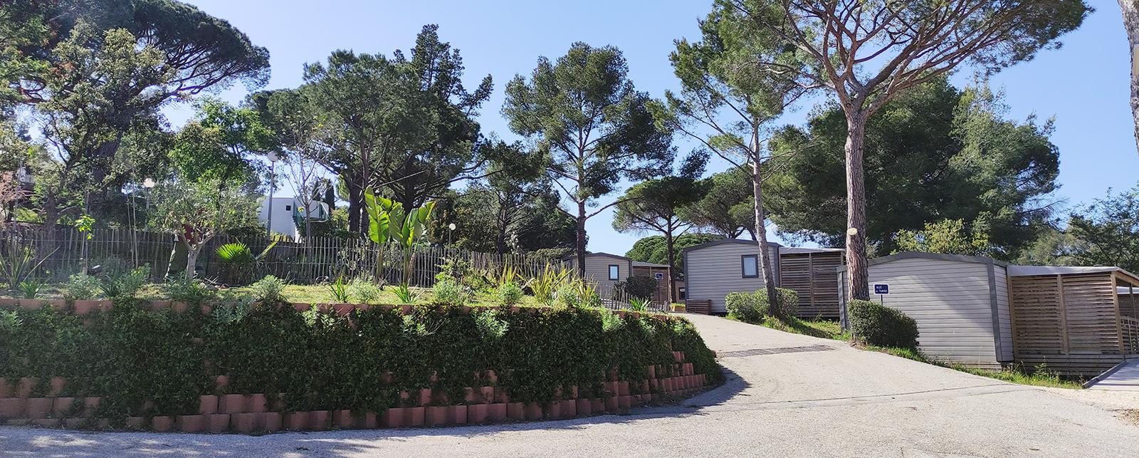 Campeggio Parc de Bormes Bormes-les-Mimosas Var